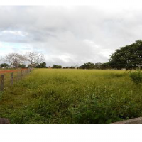 Ver anúncio COD ref#1411