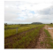 Foto ﾹ3 Fazenda/Sítio Venda em Mato Grosso, Cocalinho, Cocalinho