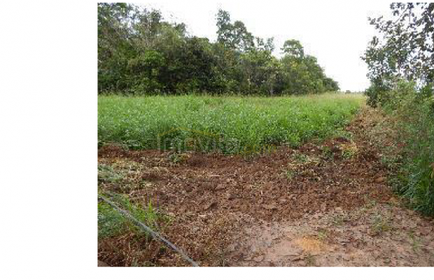 Foto ﾹ4 Fazenda/Sítio Venda em Mato Grosso, Cocalinho, Cocalinho
