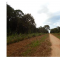 Foto ﾹ5 Fazenda/Sítio Venda em Mato Grosso, Cocalinho, Cocalinho