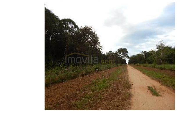 Foto ﾹ5 Fazenda/Sítio Venda em Mato Grosso, Cocalinho, Cocalinho