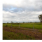 Foto ﾹ6 Fazenda/Sítio Venda em Mato Grosso, Cocalinho, Cocalinho