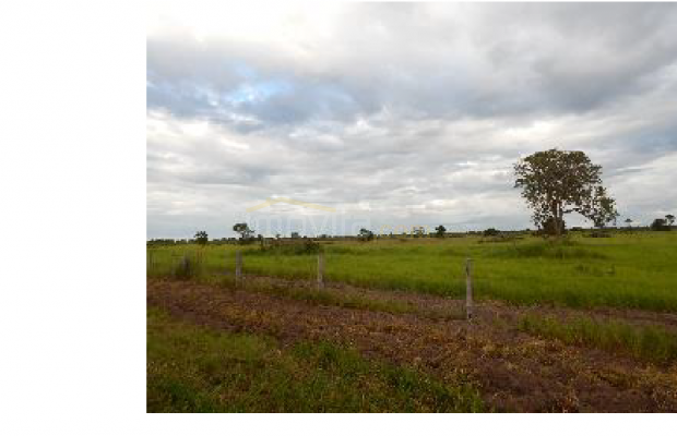 Foto ﾹ6 Fazenda/Sítio Venda em Mato Grosso, Cocalinho, Cocalinho