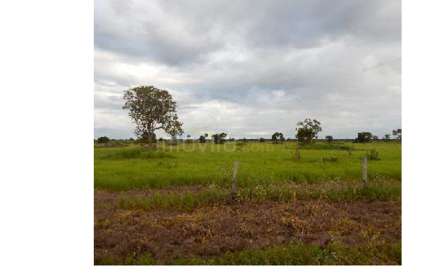 Foto ﾹ7 Fazenda/Sítio Venda em Mato Grosso, Cocalinho, Cocalinho