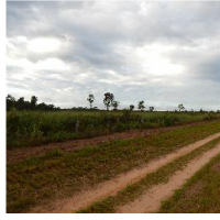 Ver anúncio COD ref#1411