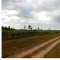 Foto ﾹ8 Fazenda/Sítio Venda em Mato Grosso, Cocalinho, Cocalinho