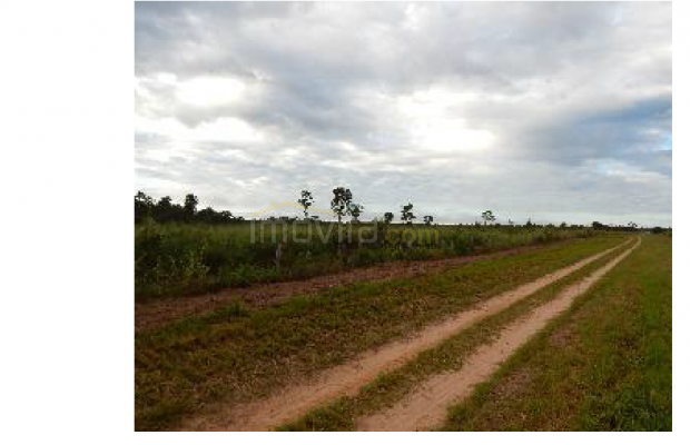 Foto ﾹ8 Fazenda/Sítio Venda em Mato Grosso, Cocalinho, Cocalinho