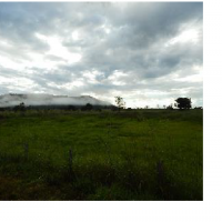 Ver anúncio COD ref#1411