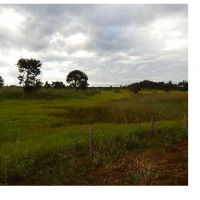 Ver anúncio COD ref#1411