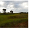 Foto ﾹ10 Fazenda/Sítio Venda em Mato Grosso, Cocalinho, Cocalinho