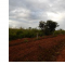 Foto ﾹ11 Fazenda/Sítio Venda em Mato Grosso, Cocalinho, Cocalinho