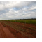 Foto ﾹ12 Fazenda/Sítio Venda em Mato Grosso, Cocalinho, Cocalinho