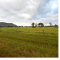 Foto ﾹ13 Fazenda/Sítio Venda em Mato Grosso, Cocalinho, Cocalinho