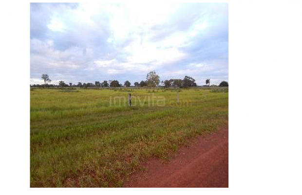 Foto ﾹ14 Fazenda/Sítio Venda em Mato Grosso, Cocalinho, Cocalinho