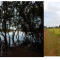 Foto ﾹ15 Fazenda/Sítio Venda em Mato Grosso, Cocalinho, Cocalinho