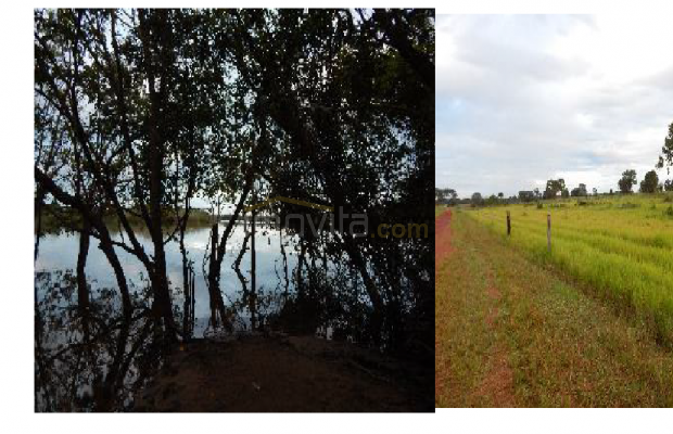 Foto ﾹ15 Fazenda/Sítio Venda em Mato Grosso, Cocalinho, Cocalinho