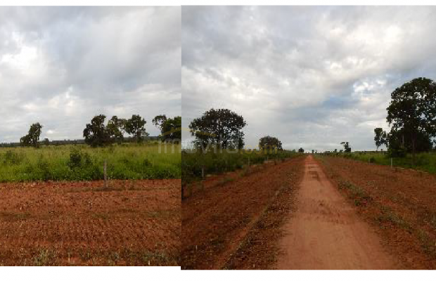 Foto ﾹ20 Fazenda/Sítio Venda em Mato Grosso, Cocalinho, Cocalinho