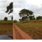 Foto ﾹ21 Fazenda/Sítio Venda em Mato Grosso, Cocalinho, Cocalinho