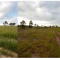 Foto ﾹ23 Fazenda/Sítio Venda em Mato Grosso, Cocalinho, Cocalinho