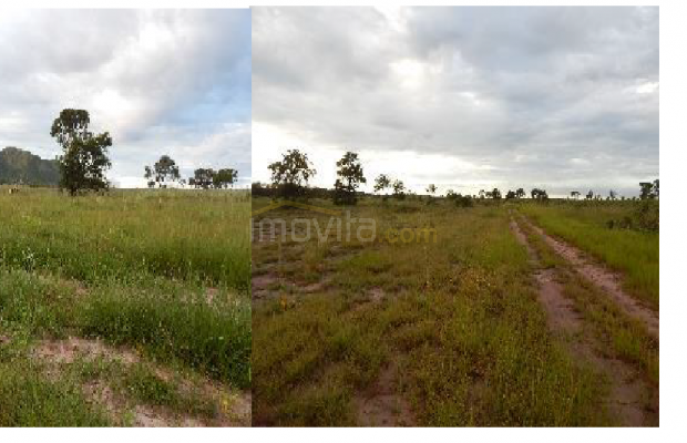 Foto ﾹ23 Fazenda/Sítio Venda em Mato Grosso, Cocalinho, Cocalinho