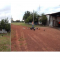 Foto ﾹ24 Fazenda/Sítio Venda em Mato Grosso, Cocalinho, Cocalinho