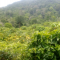 Foto ﾹ3 Fazenda/Sítio Venda em Bahia, Santa Luzia, Santa Luzia