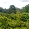Foto ﾹ4 Fazenda/Sítio Venda em Bahia, Santa Luzia, Santa Luzia