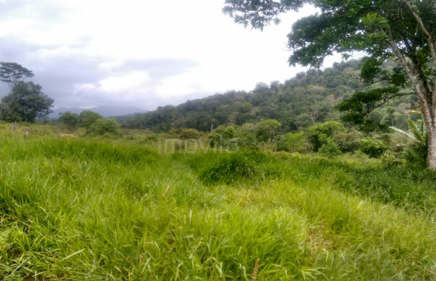 Foto ﾹ5 Fazenda/Sítio Venda em Bahia, Santa Luzia, Santa Luzia