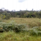 Foto ﾹ6 Fazenda/Sítio Venda em Bahia, Santa Luzia, Santa Luzia