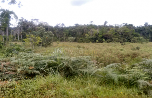Foto ﾹ6 Fazenda/Sítio Venda em Bahia, Santa Luzia, Santa Luzia
