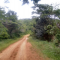 Foto ﾹ7 Fazenda/Sítio Venda em Bahia, Santa Luzia, Santa Luzia