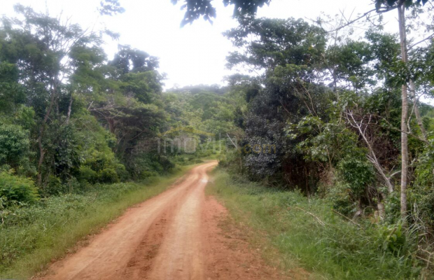 Foto ﾹ7 Fazenda/Sítio Venda em Bahia, Santa Luzia, Santa Luzia