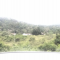 Foto ﾹ8 Fazenda/Sítio Venda em Bahia, Santa Luzia, Santa Luzia