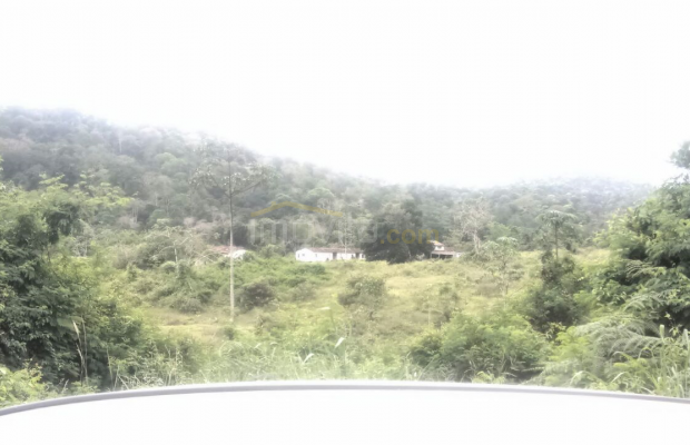 Foto ﾹ8 Fazenda/Sítio Venda em Bahia, Santa Luzia, Santa Luzia