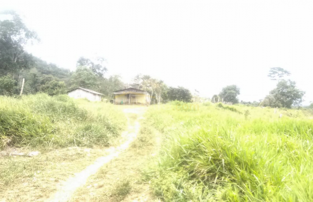 Foto ﾹ10 Fazenda/Sítio Venda em Bahia, Santa Luzia, Santa Luzia