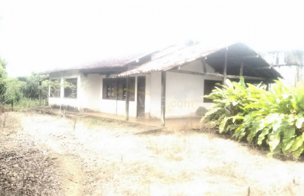 Foto ﾹ12 Fazenda/Sítio Venda em Bahia, Santa Luzia, Santa Luzia