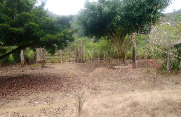 Foto ﾹ13 Fazenda/Sítio Venda em Bahia, Santa Luzia, Santa Luzia