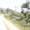 Foto ﾹ14 Fazenda/Sítio Venda em Bahia, Santa Luzia, Santa Luzia