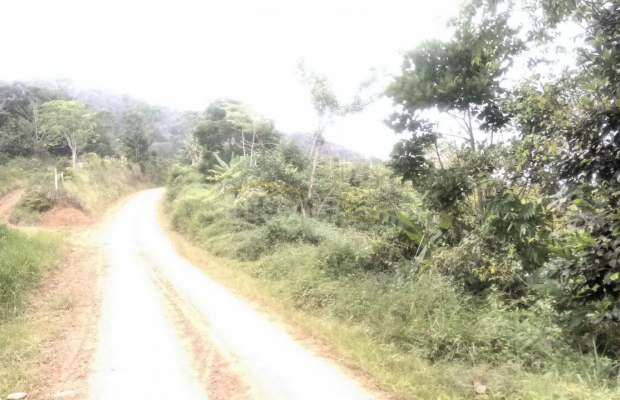 Foto ﾹ14 Fazenda/Sítio Venda em Bahia, Santa Luzia, Santa Luzia