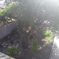 Ver anúncio COD ref#1511