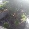 Foto ﾹ10 Casa Venda em Bahia, Ilheus, Jardim Savóia