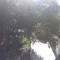 Foto ﾹ14 Casa Venda em Bahia, Ilheus, Jardim Savóia