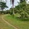 Foto ﾹ9 Fazenda/Sítio Venda em Bahia, Ilheus, Coutos