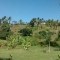 Foto ﾹ12 Fazenda/Sítio Venda em Bahia, Ilheus, Coutos