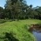 Foto ﾹ16 Fazenda/Sítio Venda em Bahia, Ilheus, Coutos
