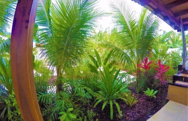 Foto ﾹ17 Casa Venda em Bahia, Ilheus, Praia do Sul