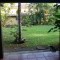 Foto ﾹ12 Casa Venda em Bahia, Ilheus, Praia do Sul