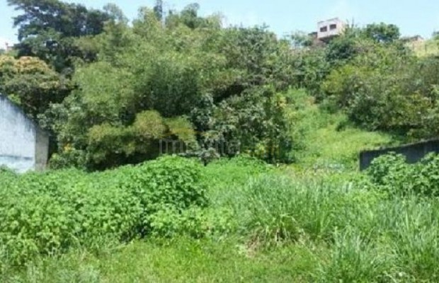 Foto ﾹ2 Lote/terreno Venda em Bahia, Ilheus, Malhado