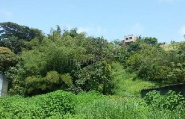 Foto ﾹ3 Lote/terreno Venda em Bahia, Ilheus, Malhado