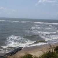 Ver anúncio COD ref#1572